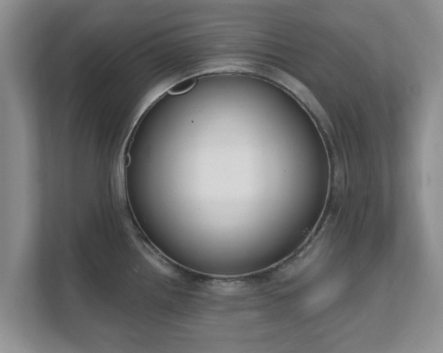 X0000111621242200907241023