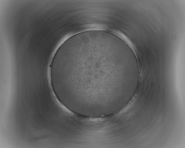 X0000111621243200907241023