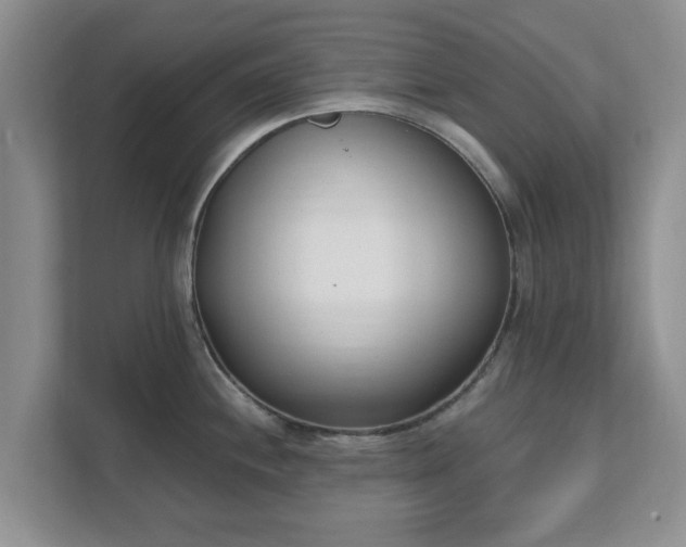 X0000111621244200907241024