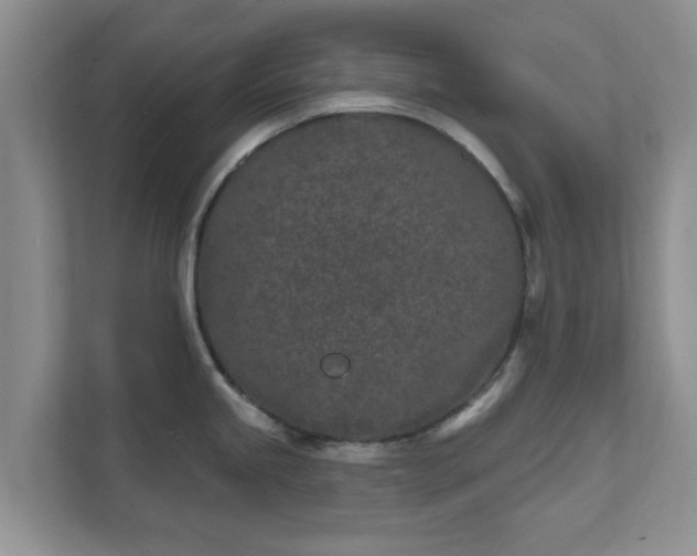 X0000111621245200907241024