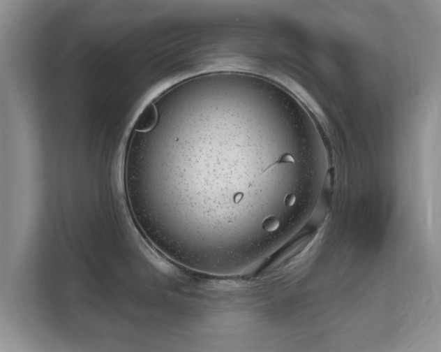 X0000111621246200907241024