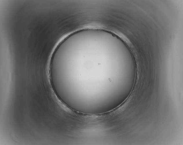 X0000111621248200907241024