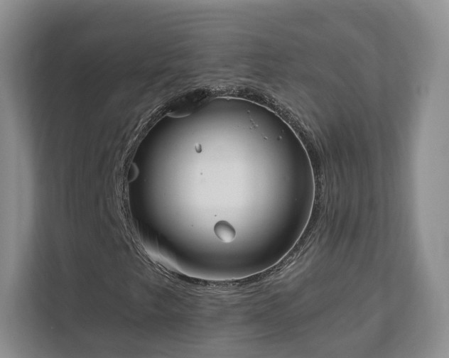 X0000111621249200907241023