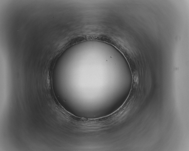 X0000111621252200907241023
