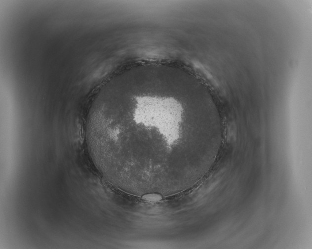 X0000111621253200907241023