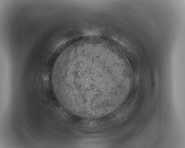 X0000111621254200907241023