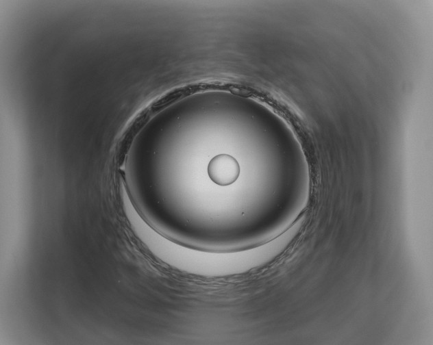 X0000111621256200907241023