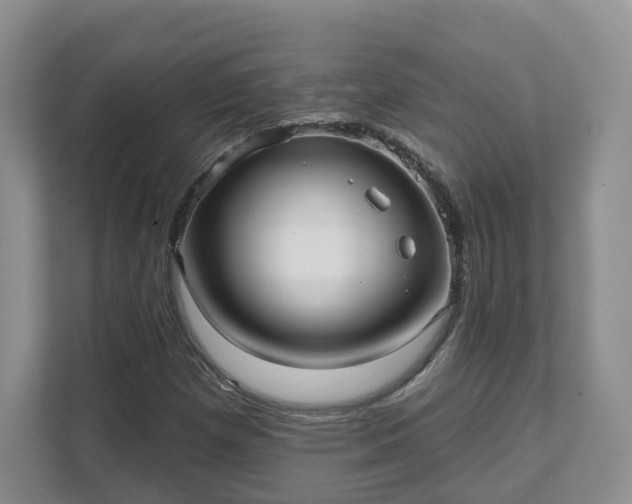 X0000111621257200907241023