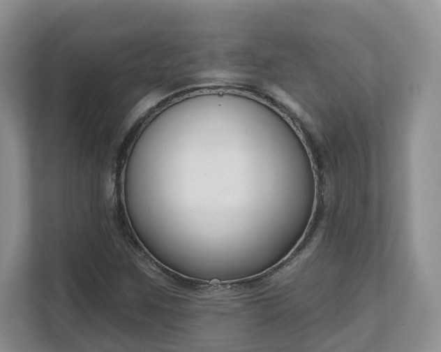 X0000111621259200907241023