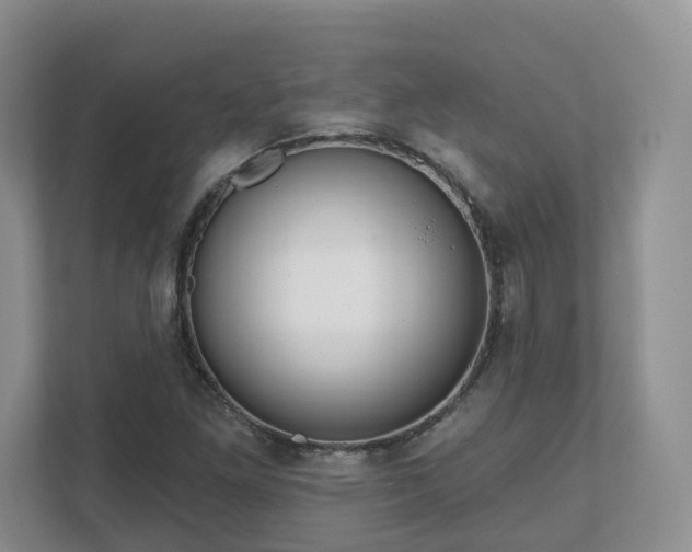 X0000111621261200907241023