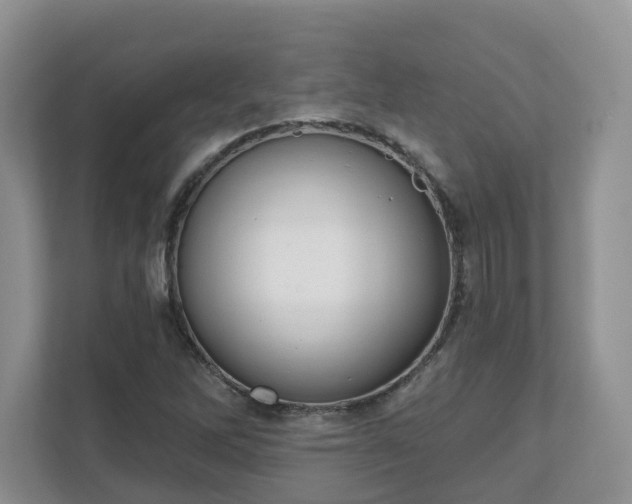 X0000111621262200907241023