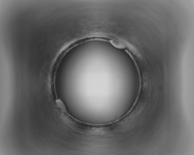 X0000111621264200907241023