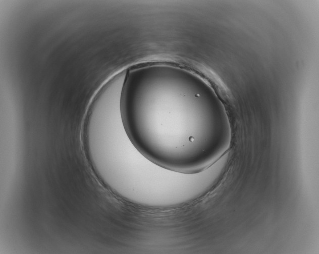 X0000111621268200907241023