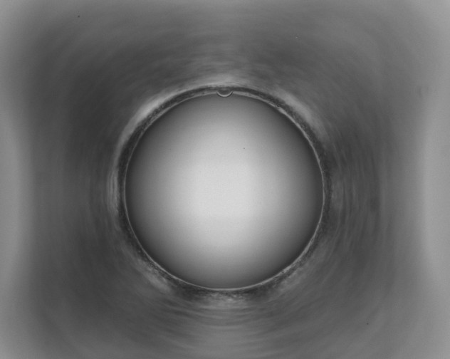 X0000111621270200907241022