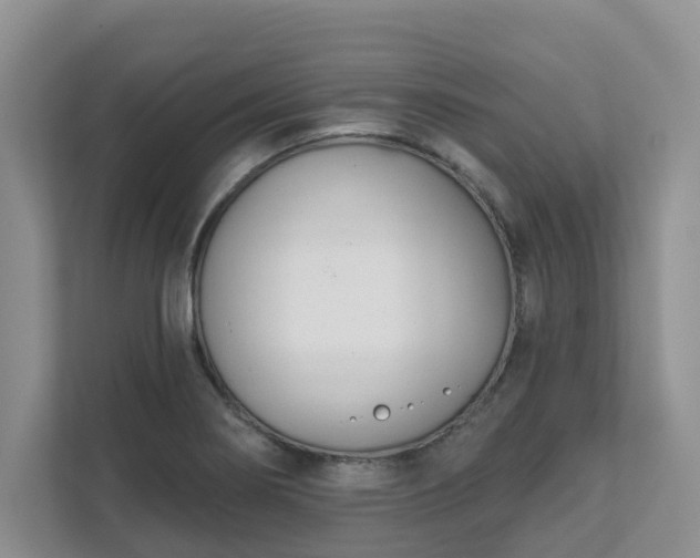 X0000111621274200907241022