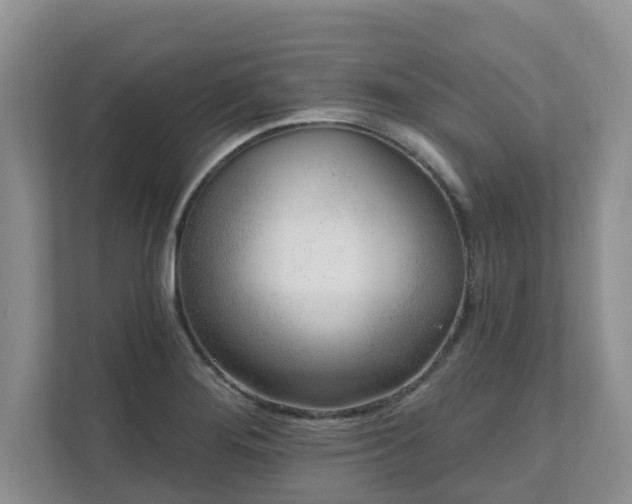 X0000111621276200907241022