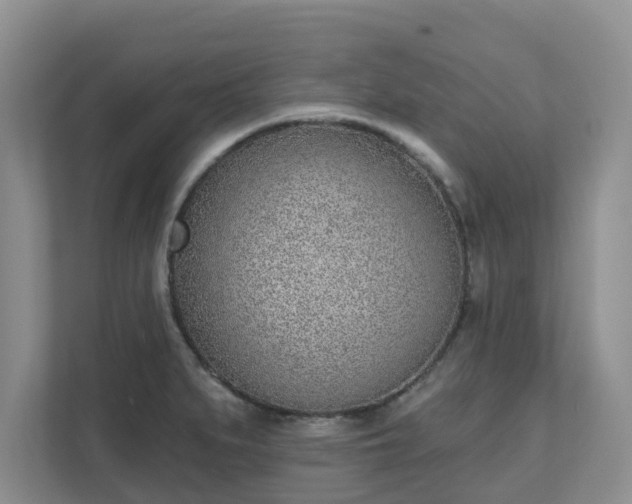 X0000111621279200907241022