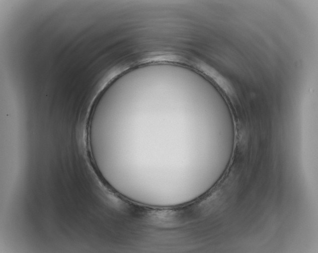 X0000111621282200907241022