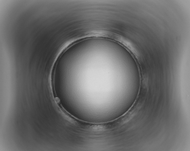 X0000111621283200907241022