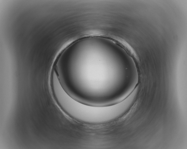 X0000111621285200907241022