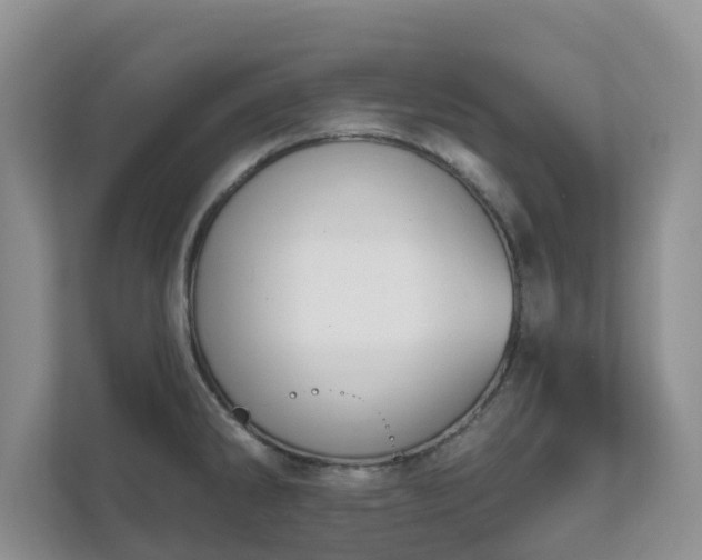 X0000111621286200907241022