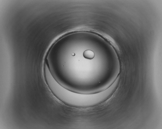 X0000111621288200907241022