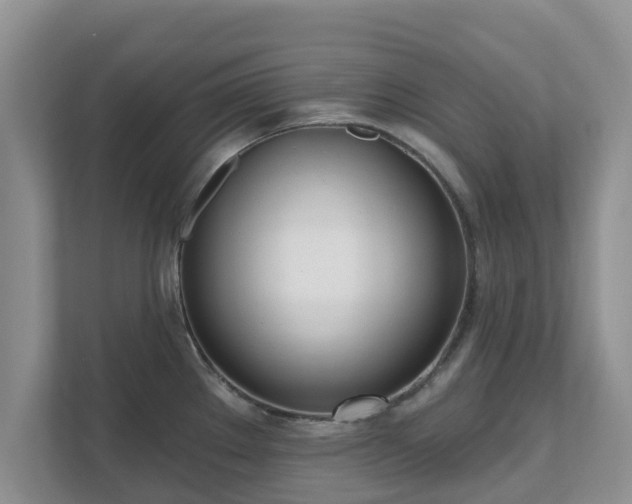 X0000111621289200907241022