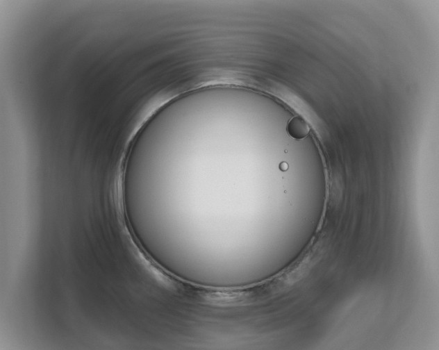 X0000111621290200907241022