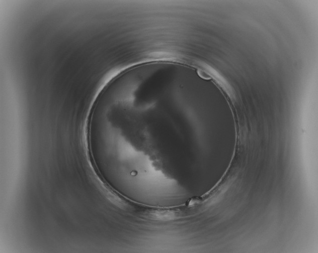 X0000111621291200907241022