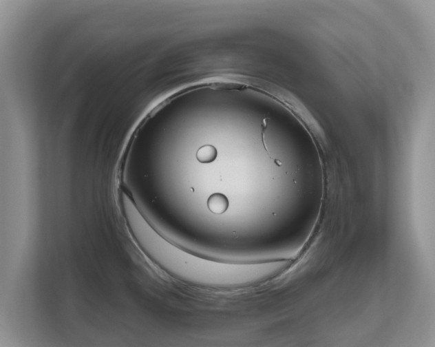 X0000111621292200907241022
