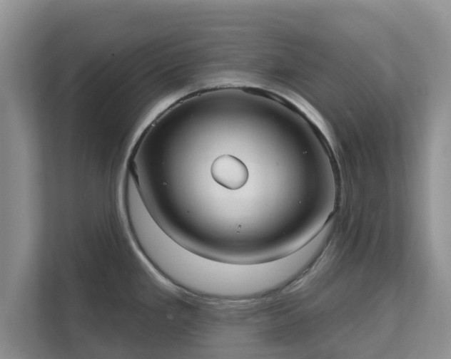 X0000111621293200907241022