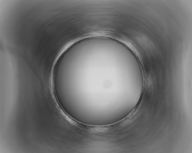X0000111621294200907241022