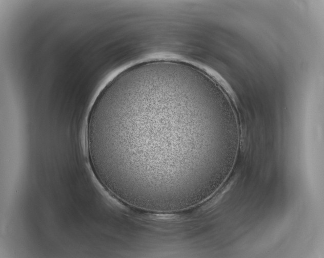 X0000111621295200907241022