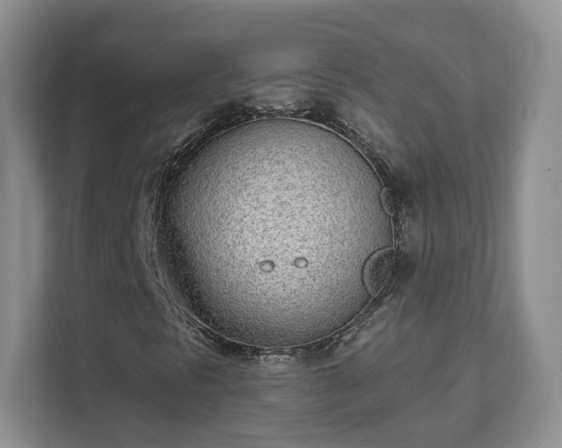 X0000111621297200907241022