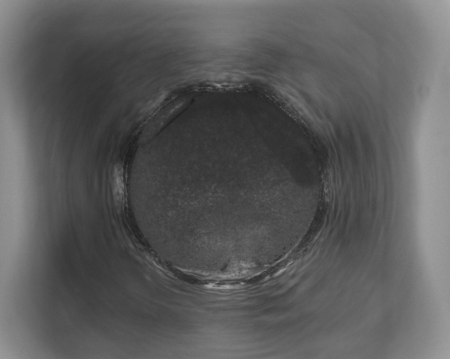 X0000111621298200907241022