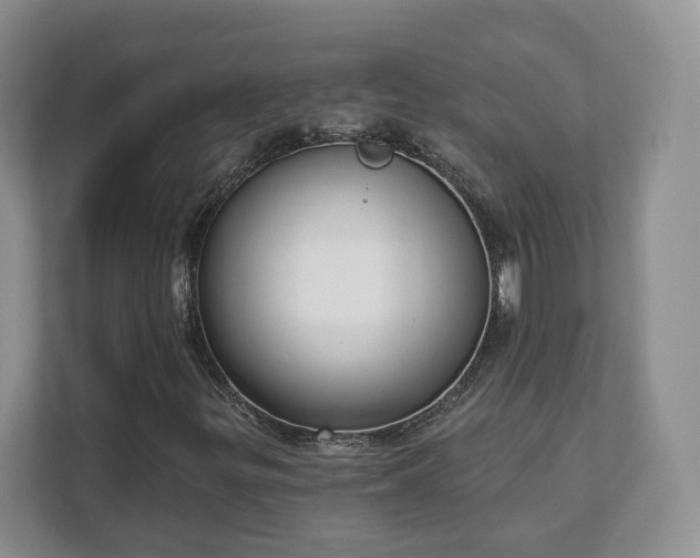 X0000111621299200907241022