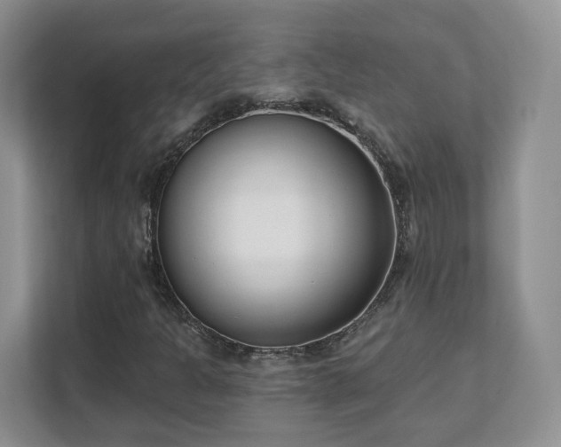X0000111621301200907241022