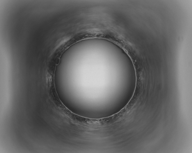 X0000111621302200907241022