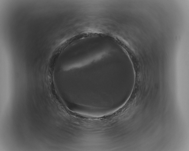 X0000111621303200907241022
