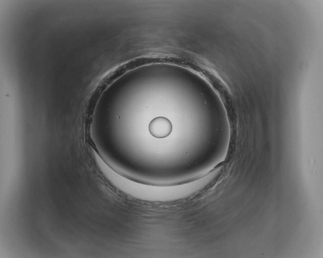 X0000111621304200907241022