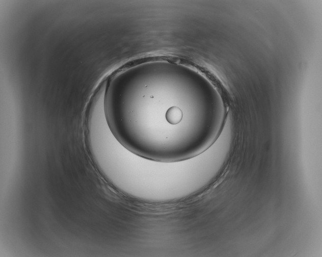 X0000111621308200907241022