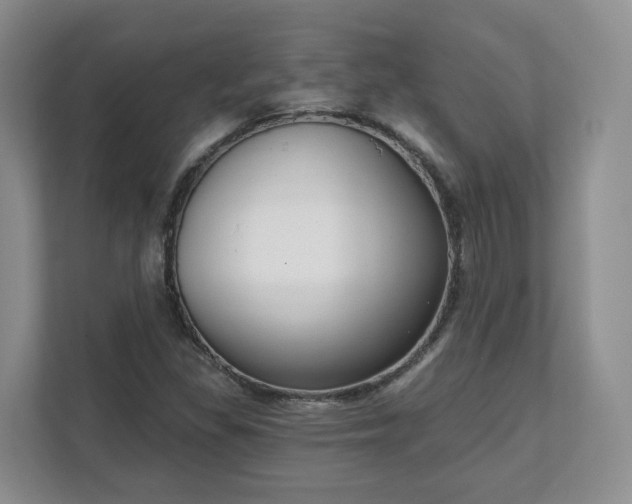 X0000111621309200907241022