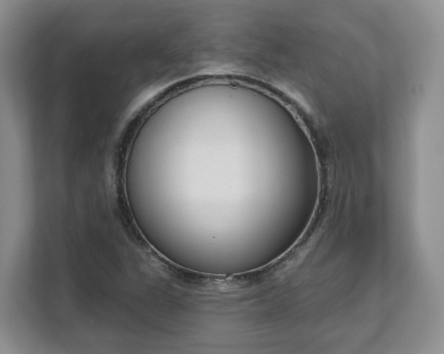X0000111621311200907241022