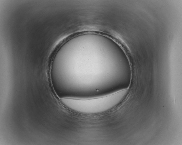 X0000111621312200907241022