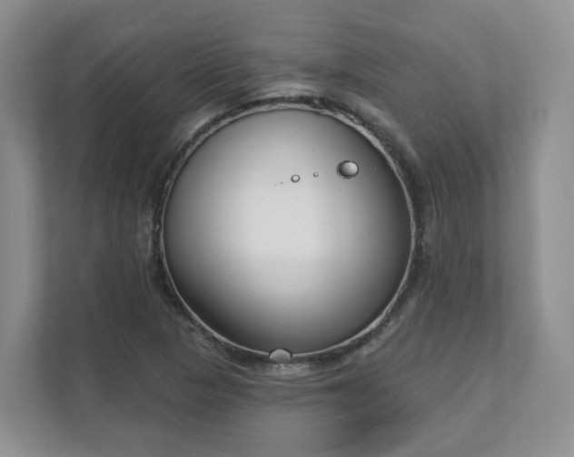 X0000111621313200907241022