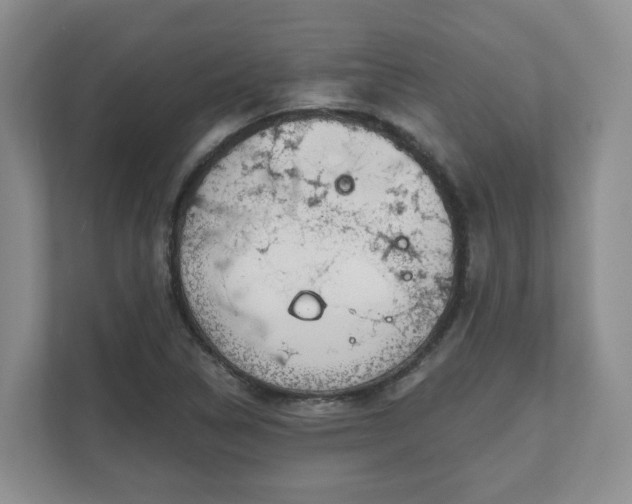 X0000111621314200907241022