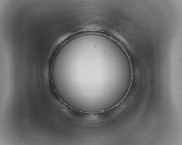 X0000111621315200907241022