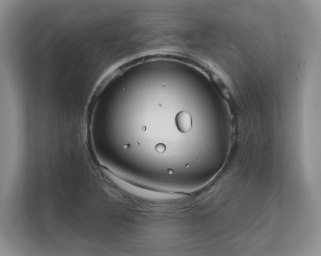 X0000111621316200907241022