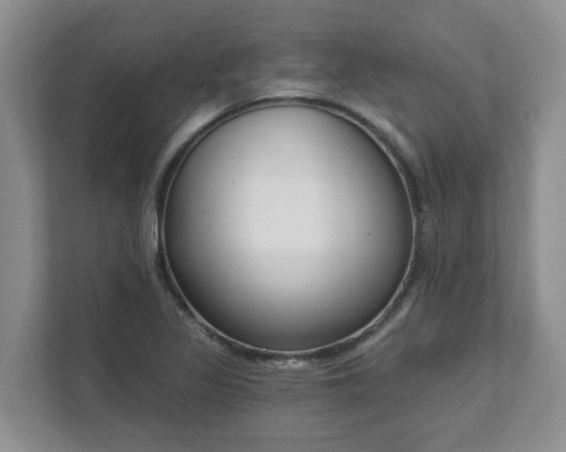 X0000111621317200907241022