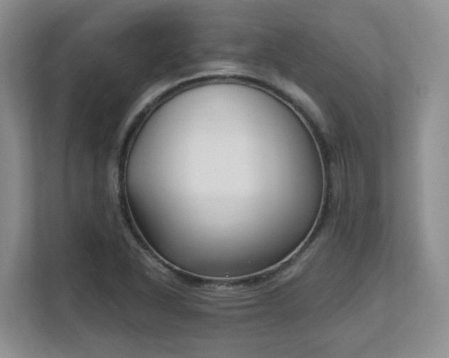 X0000111621318200907241022
